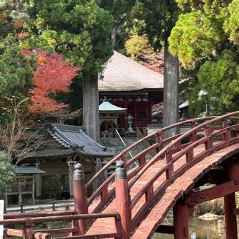 お庭が素敵でした