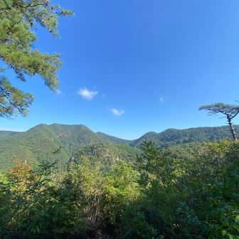 今から登る百々ヶ峰が見えてますね👀