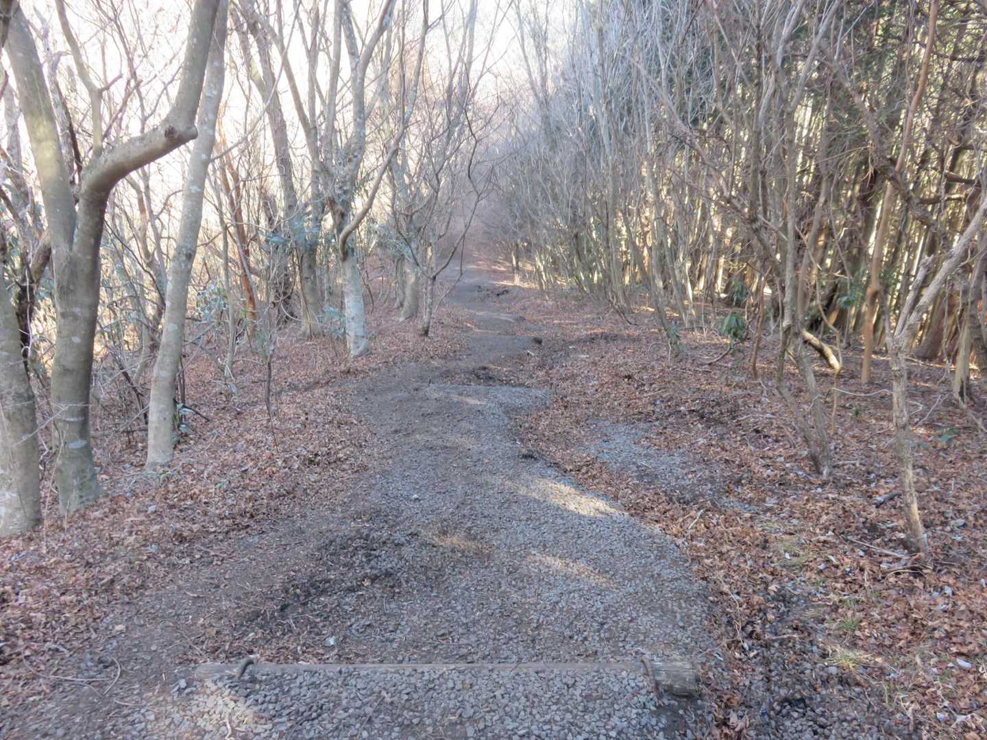 ゆるやかに下りていきます。