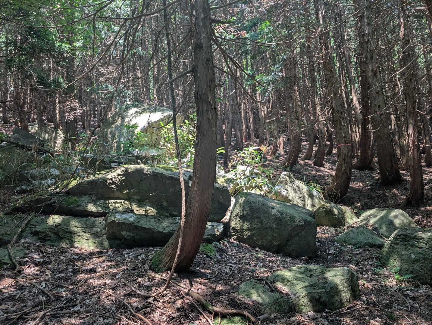 三徳山 往復コースの写真