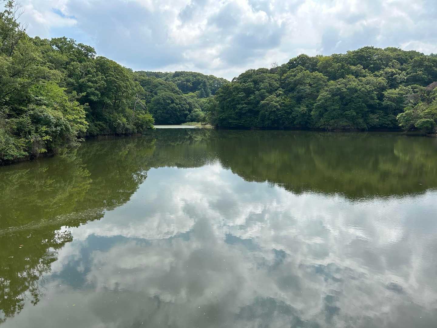 一回、交野山へ行ってみることに…