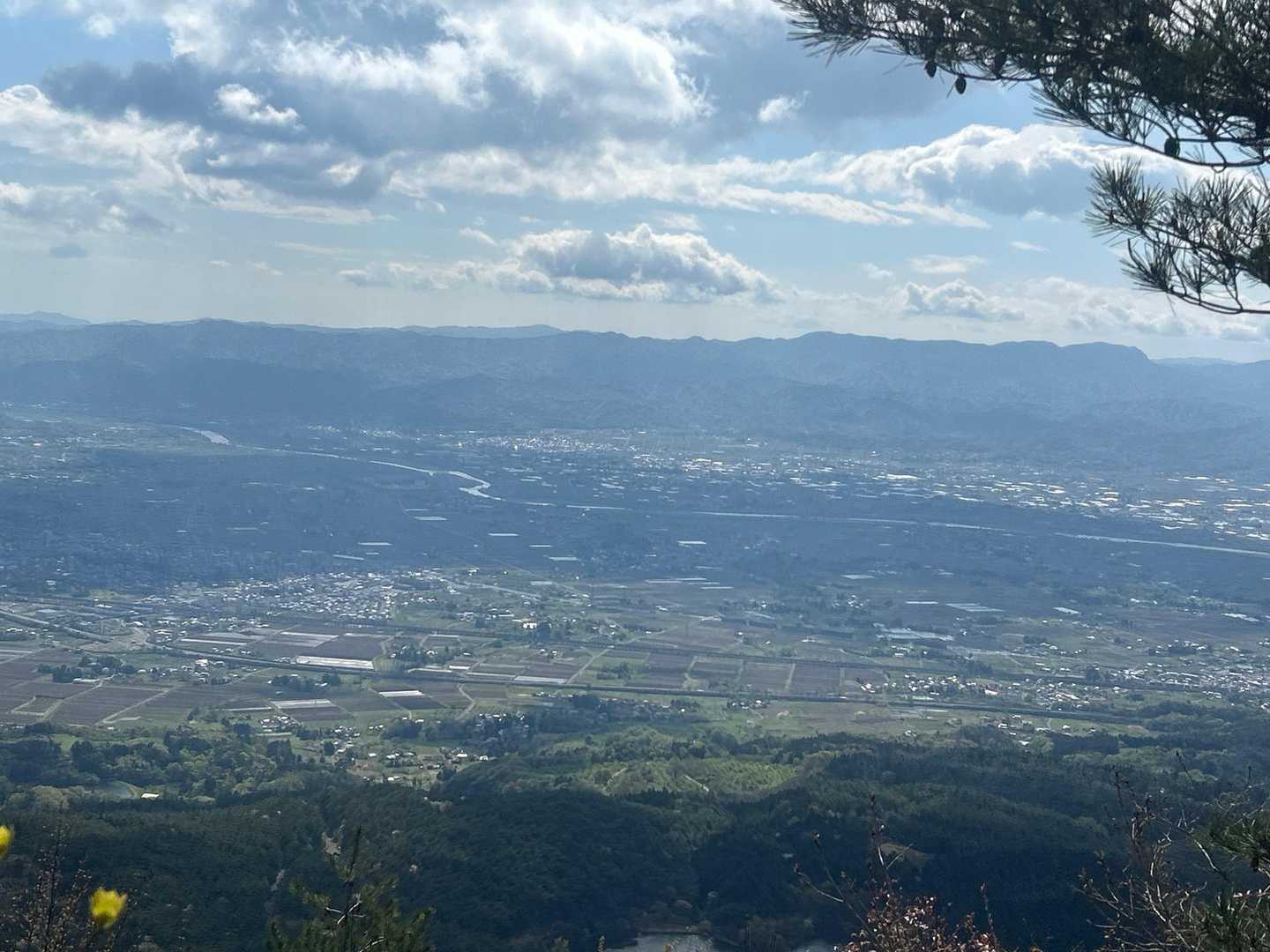 半田山 周回コースの写真