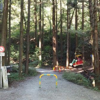 ここが登山口かな？