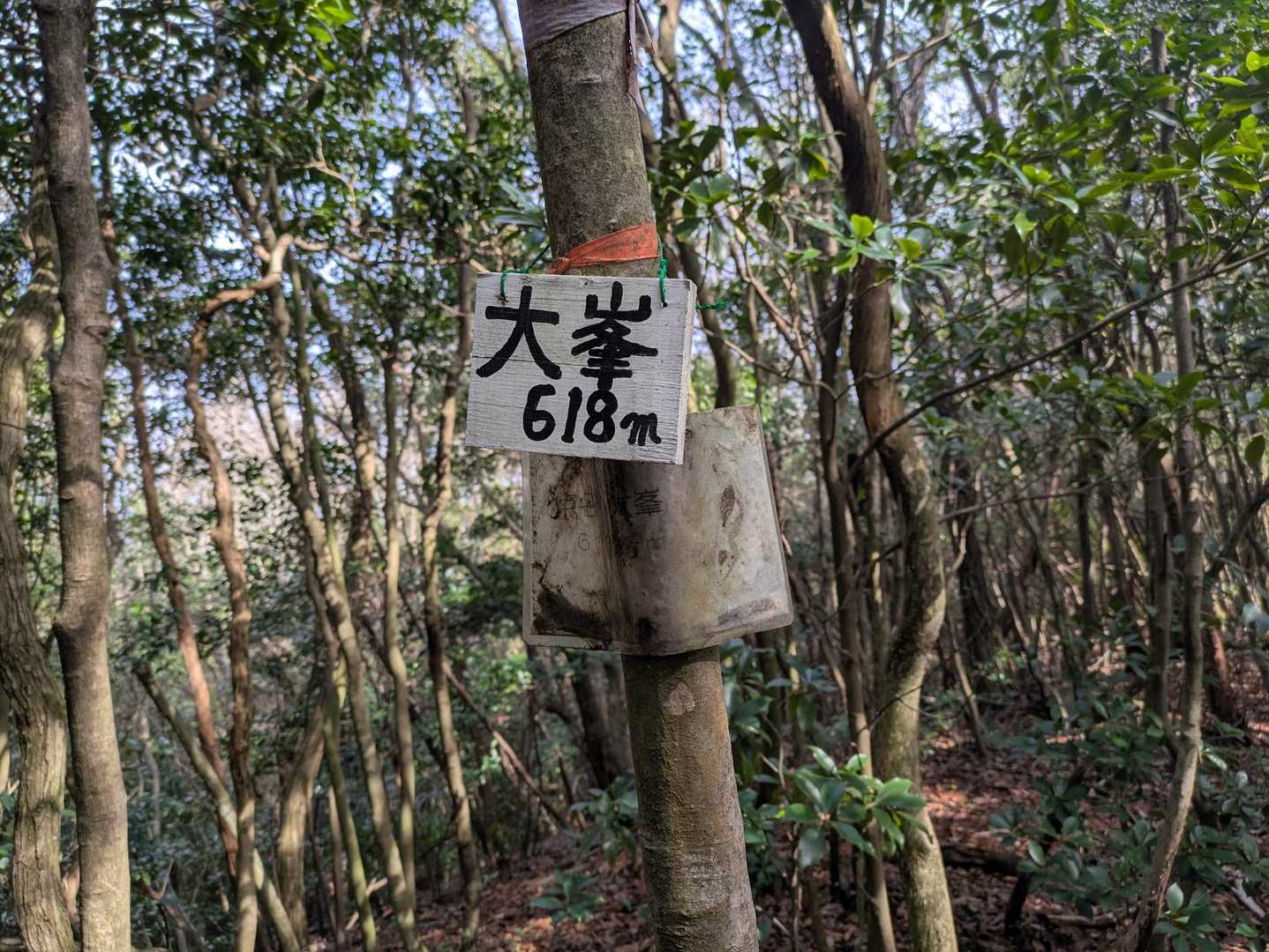 10:01  大峯に到着しました。
標高は618mです。