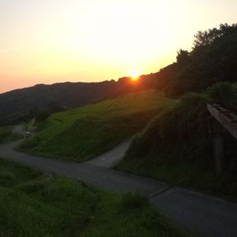 Jansen(ヤンセン)