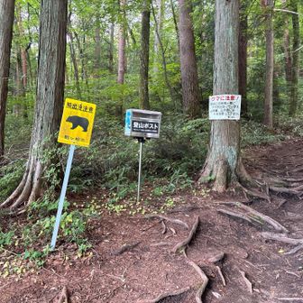 池山尾根登山口に降り立ちました🙌