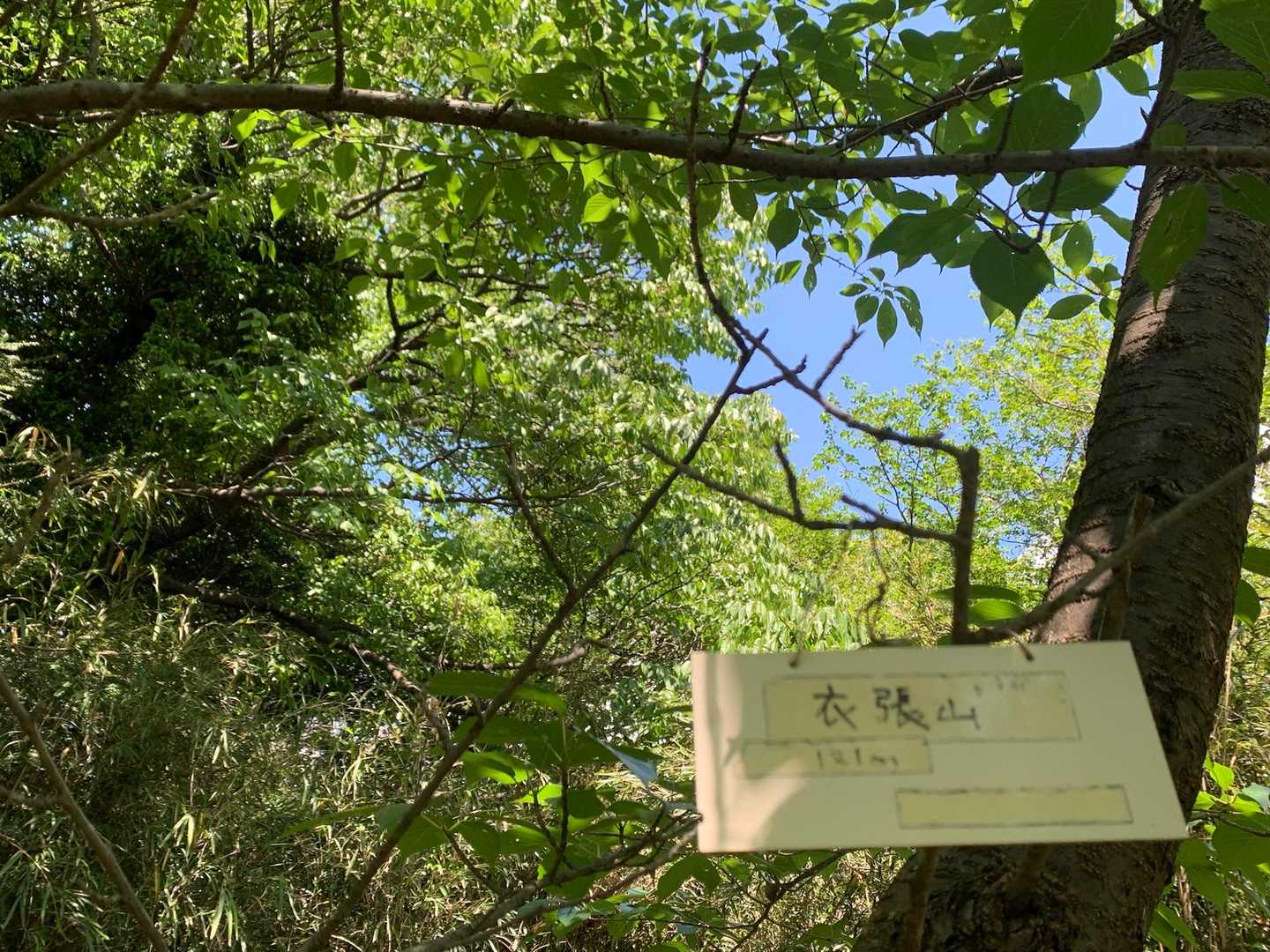 登頂
衣張山　121m