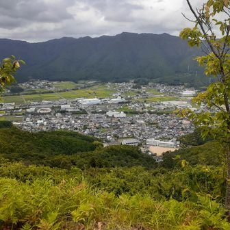 山頂から黒井駅を臨む
(小さくてわかりづらい)