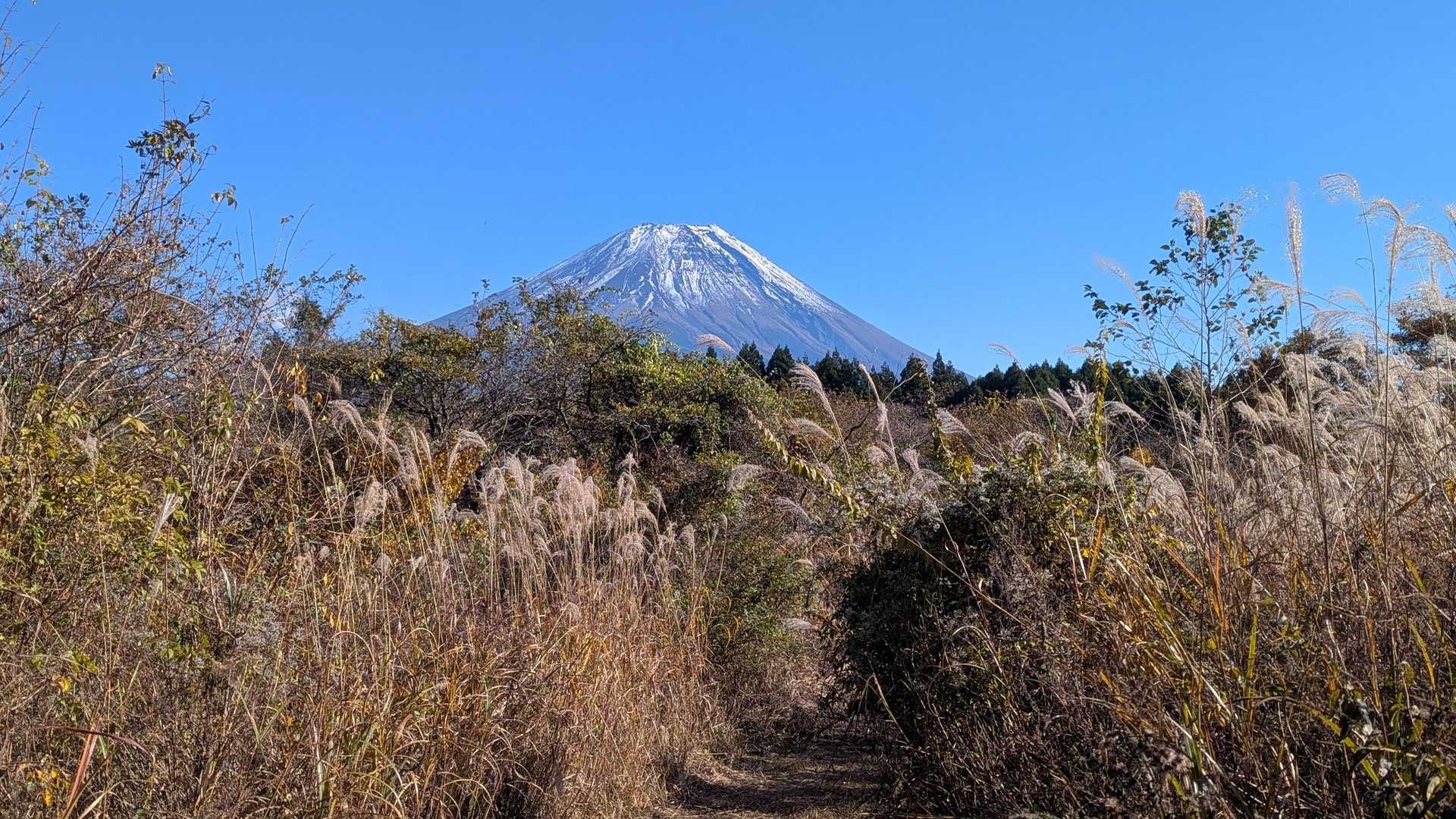 降りてきました