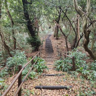 カラスがドンピシャ(笑)