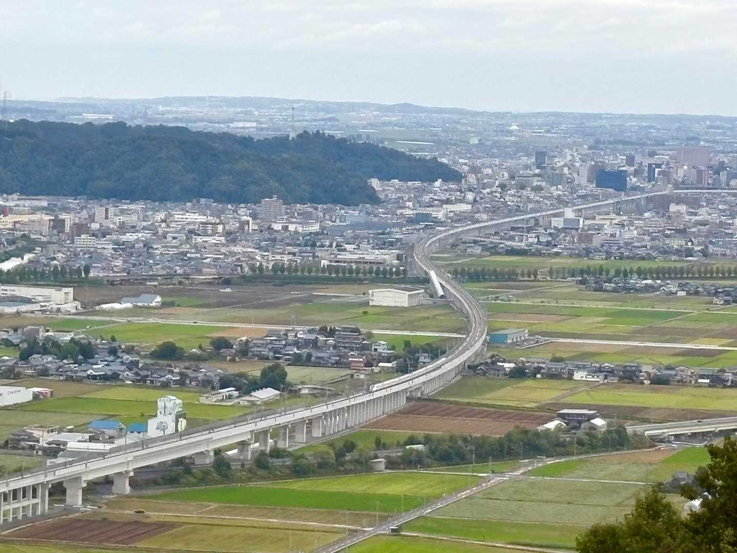 ここから新幹線を見れるのは稀でパチリ🚄
