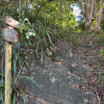 納涼山への登山道。