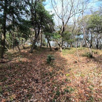 ようやく・・・