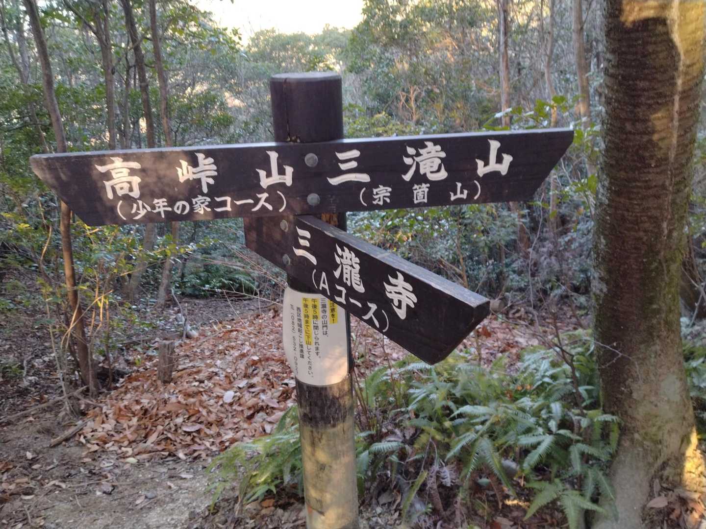 高峠山-宗箇山 周回コースの写真