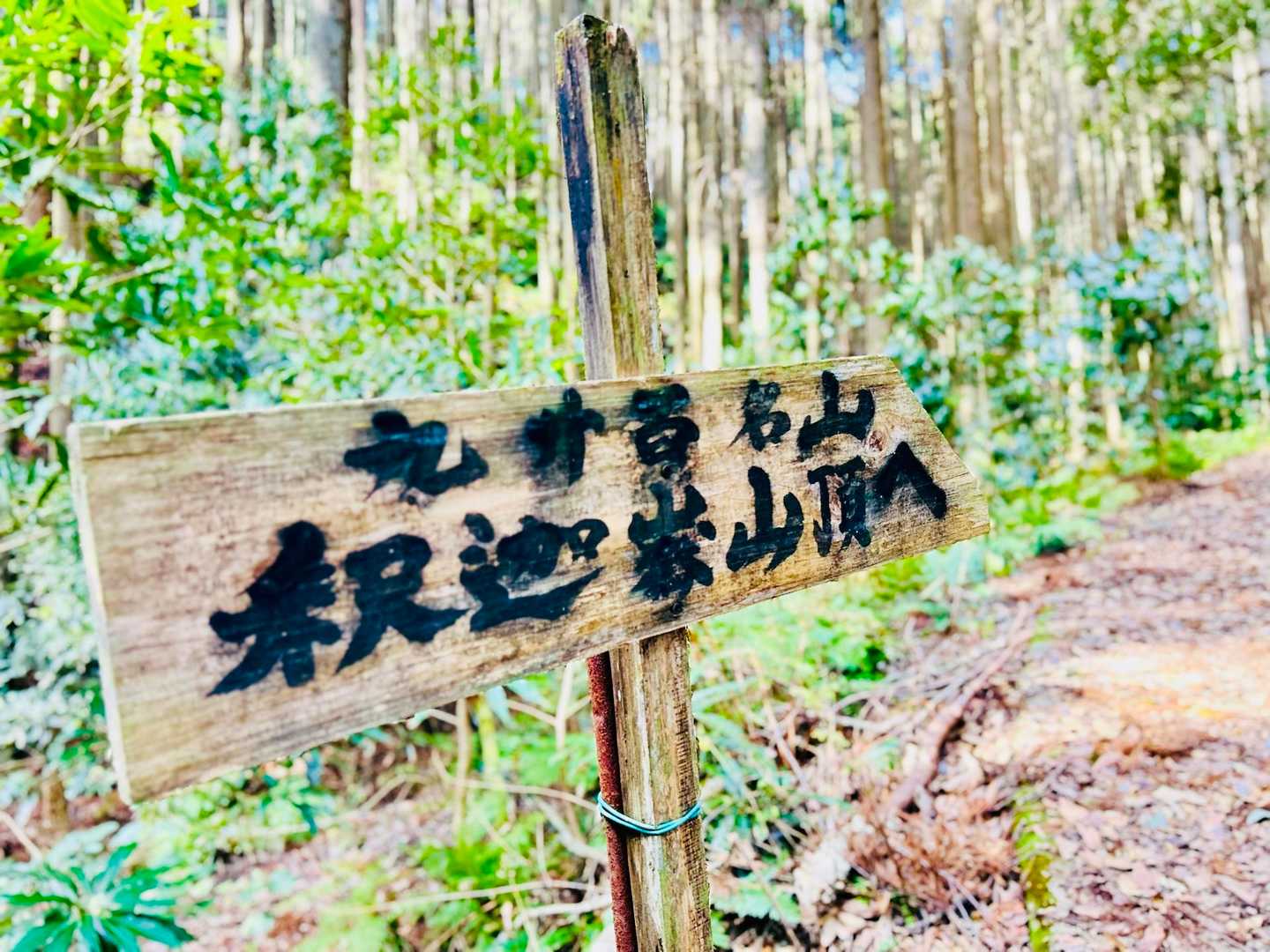 釈迦ヶ岳登山口-釋迦ヶ岳 往復コースの写真