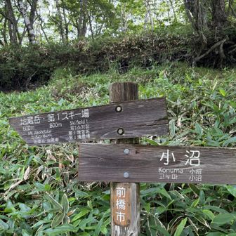300m車道を歩いて🚶‍♀️地蔵岳登山口へ