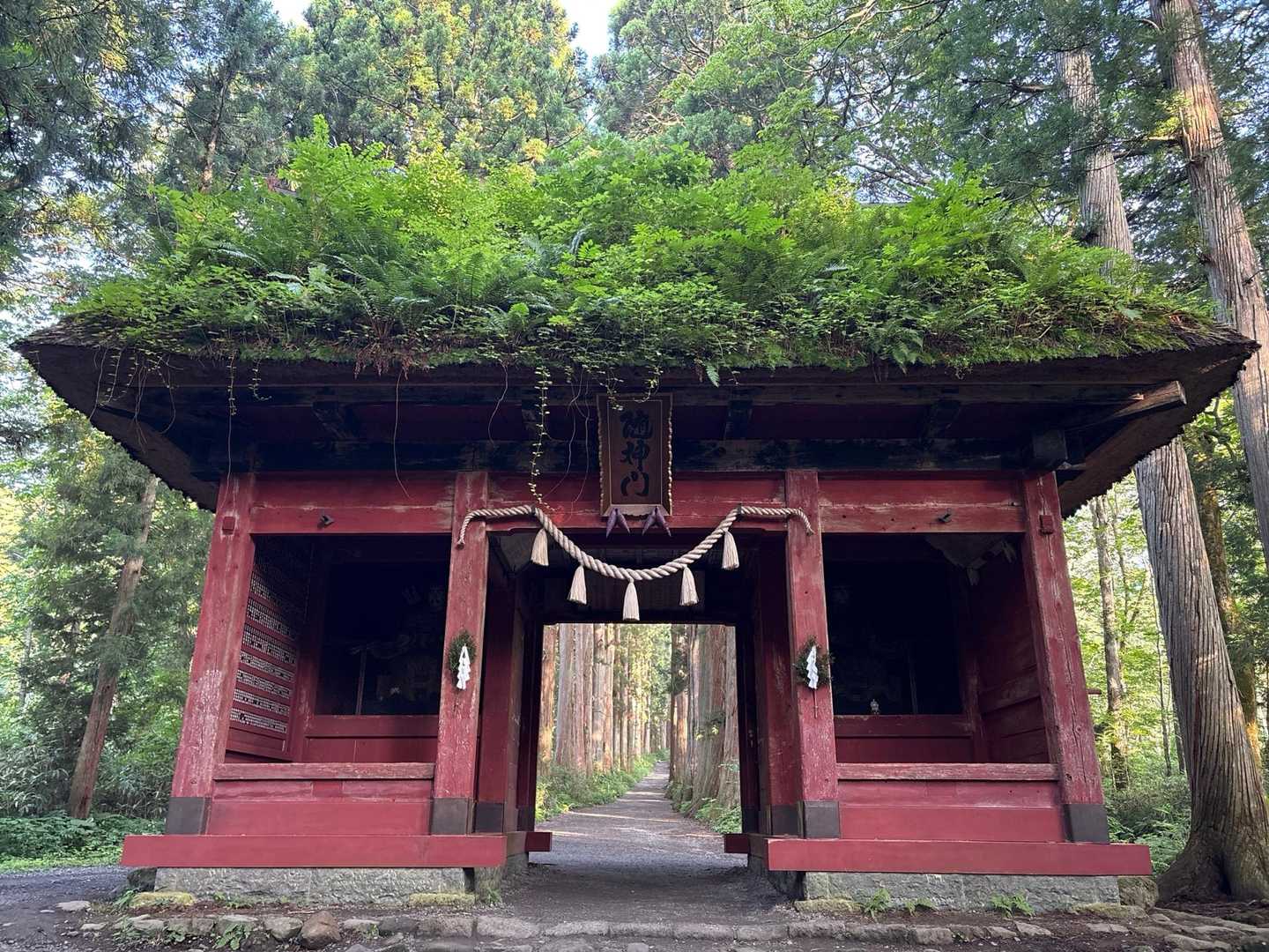 戸隠奥社-戸隠山-九頭龍山-五地蔵山-高妻山-戸隠キャンプ 周回コースの写真