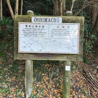 SHIMACHO🙂‍↕️