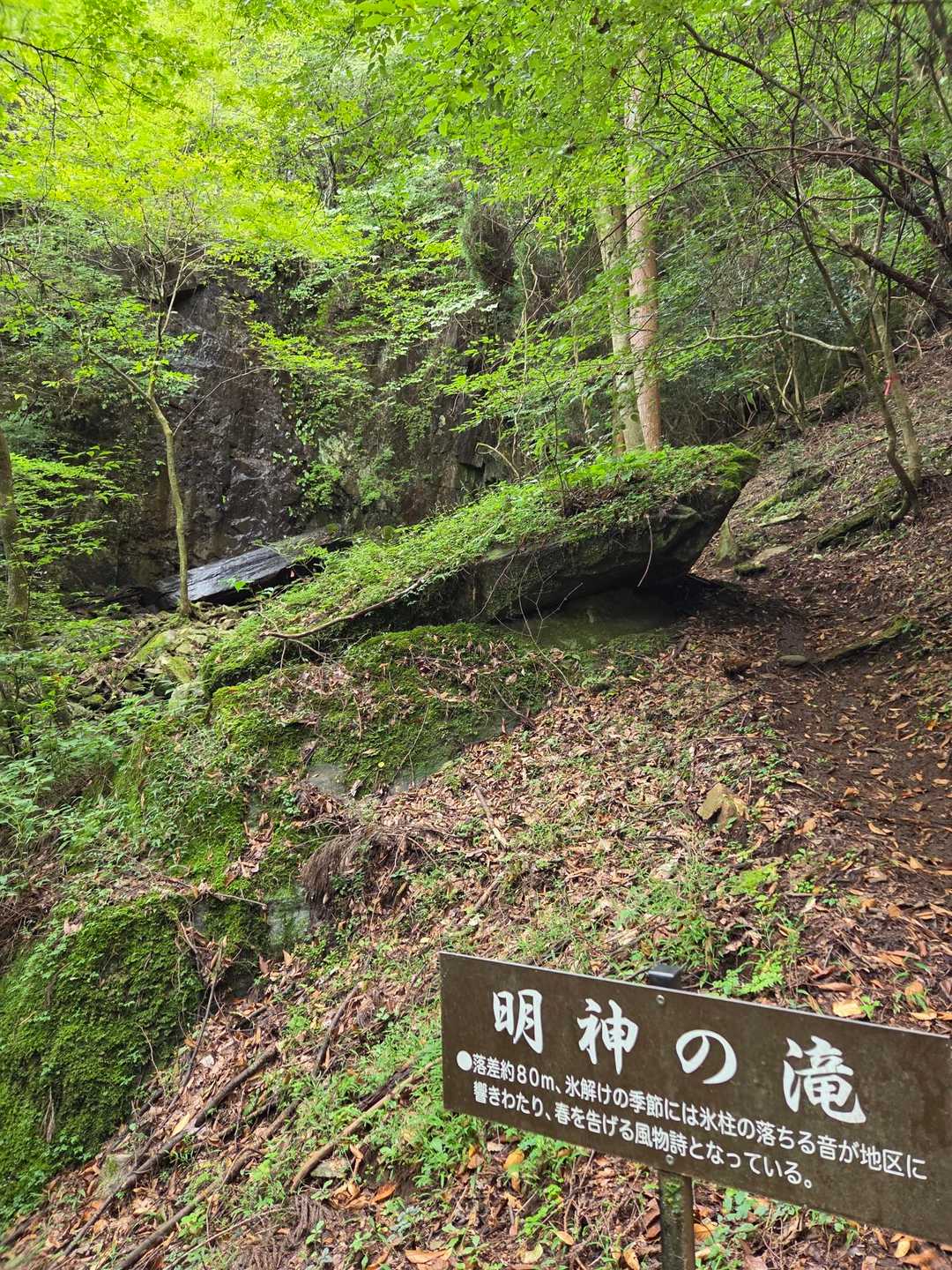 越敷岳登山口-五輪塔-緩木山-長尾山-越敷岳 周回コースの写真