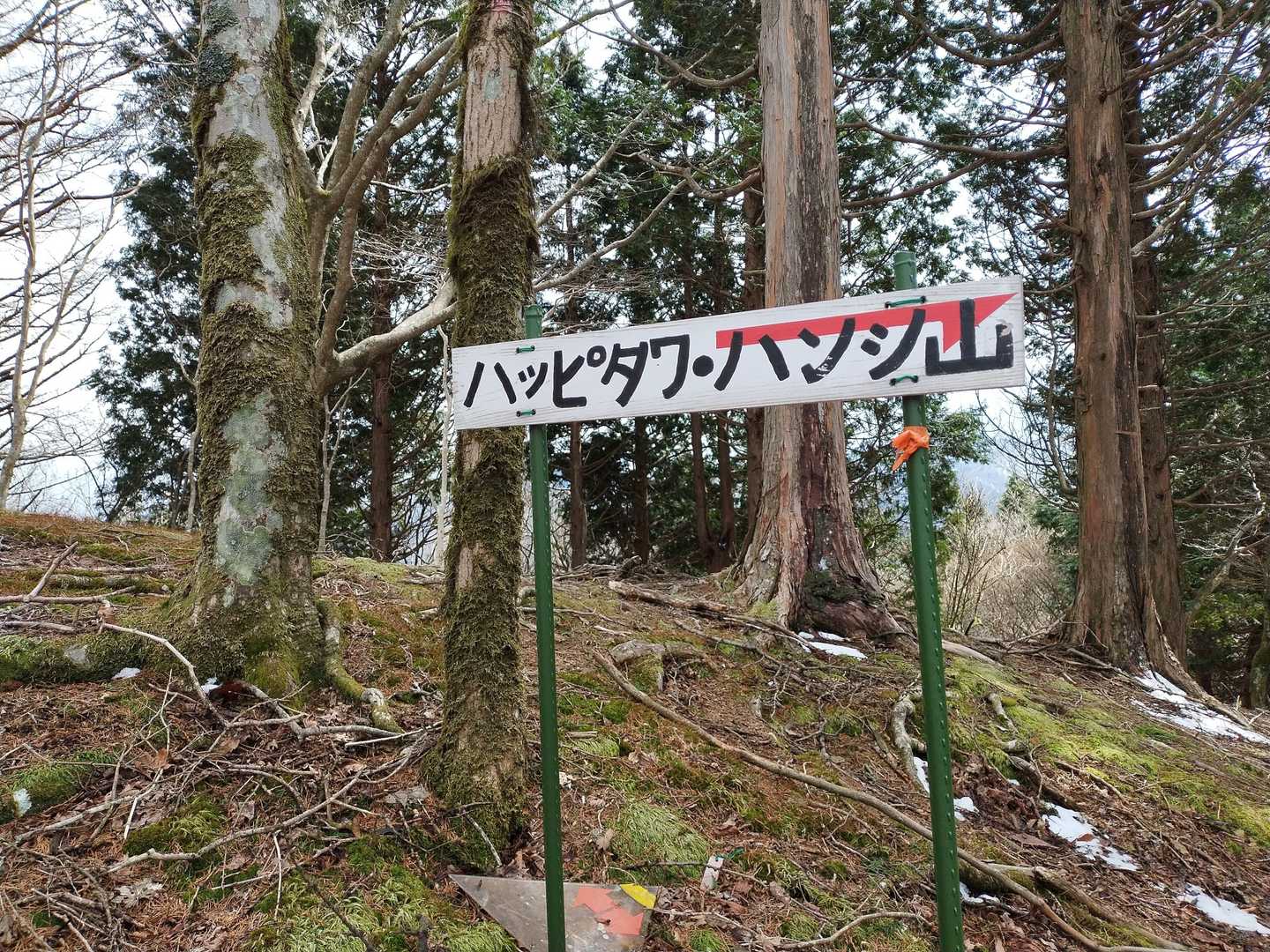 ハッピタワやらハンシ山やら雲ケセ山やらカタカナ好きやね
