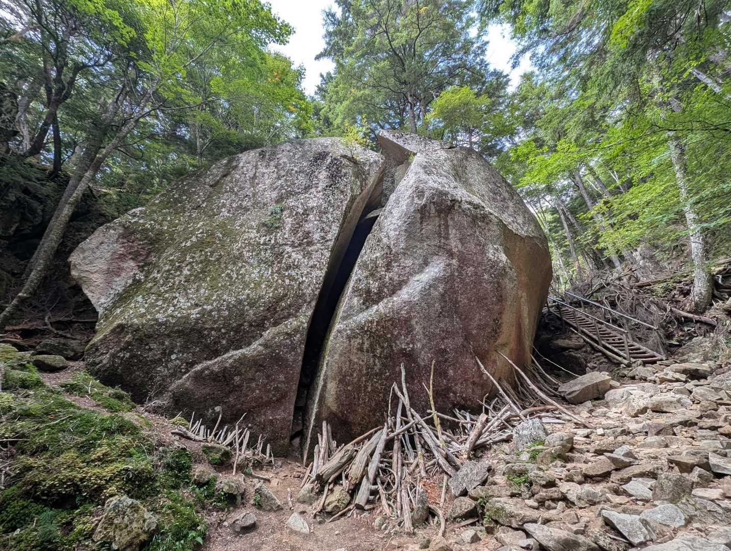 桃太郎岩を🙄✨