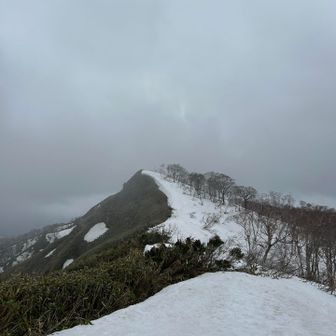天狗の鼻👺はあちら