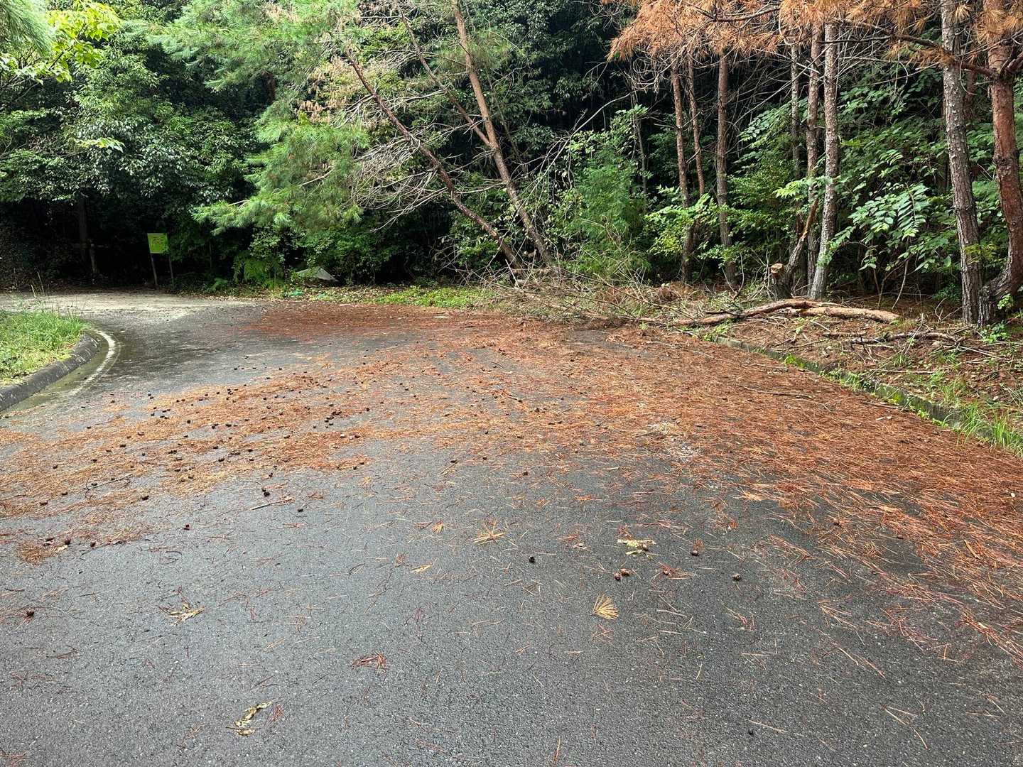 横にどけてみたよ
