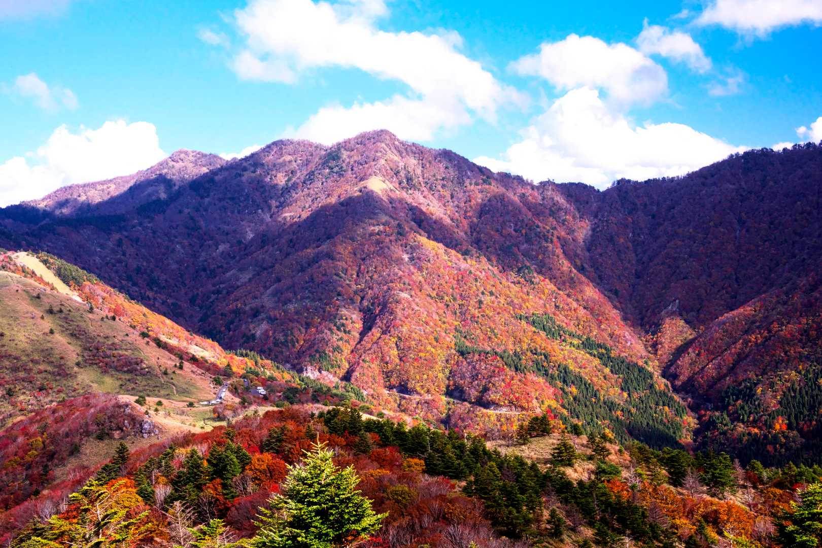 落合峠-落禿-前烏帽子山-寒峰 往復コースの写真
