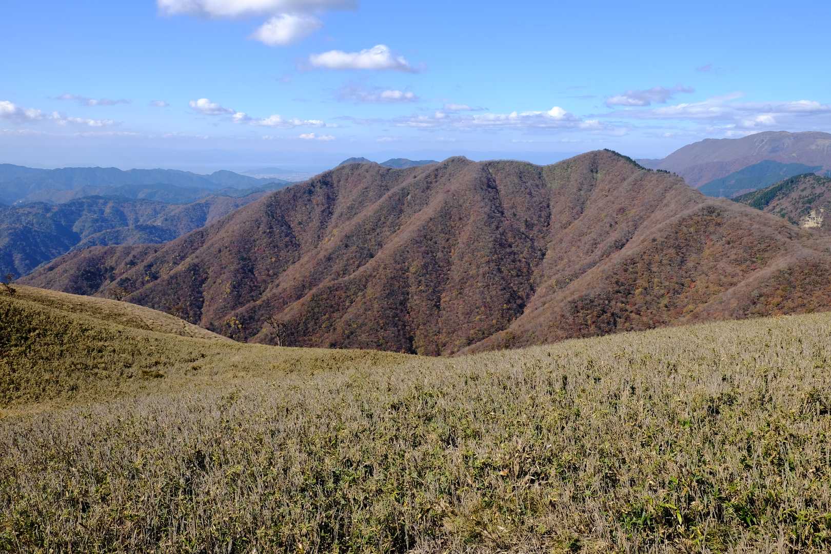 登りでも撮ったような気がしますが忘れてください