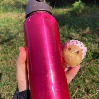 山頂のお菓子は
我が家でも大人気の
どじょうすくい饅頭

かわいいだけでなく
おいしい

なんだか
ひょっこり
顔を出してるみたい🤭