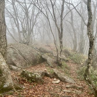 頂上の奥から振り返る