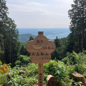 大高山に到着。
開けていて見晴らしは良いが、緑が濃い。