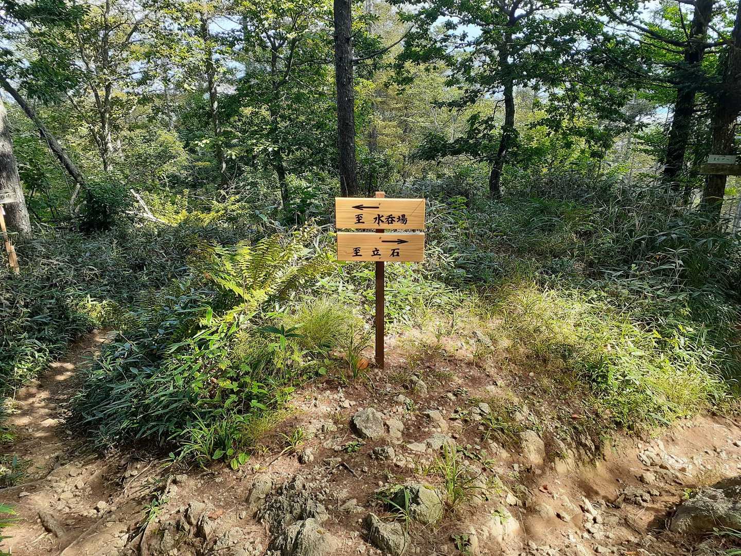 水呑場と立石の分岐にも新しい標識が設置されてた👍