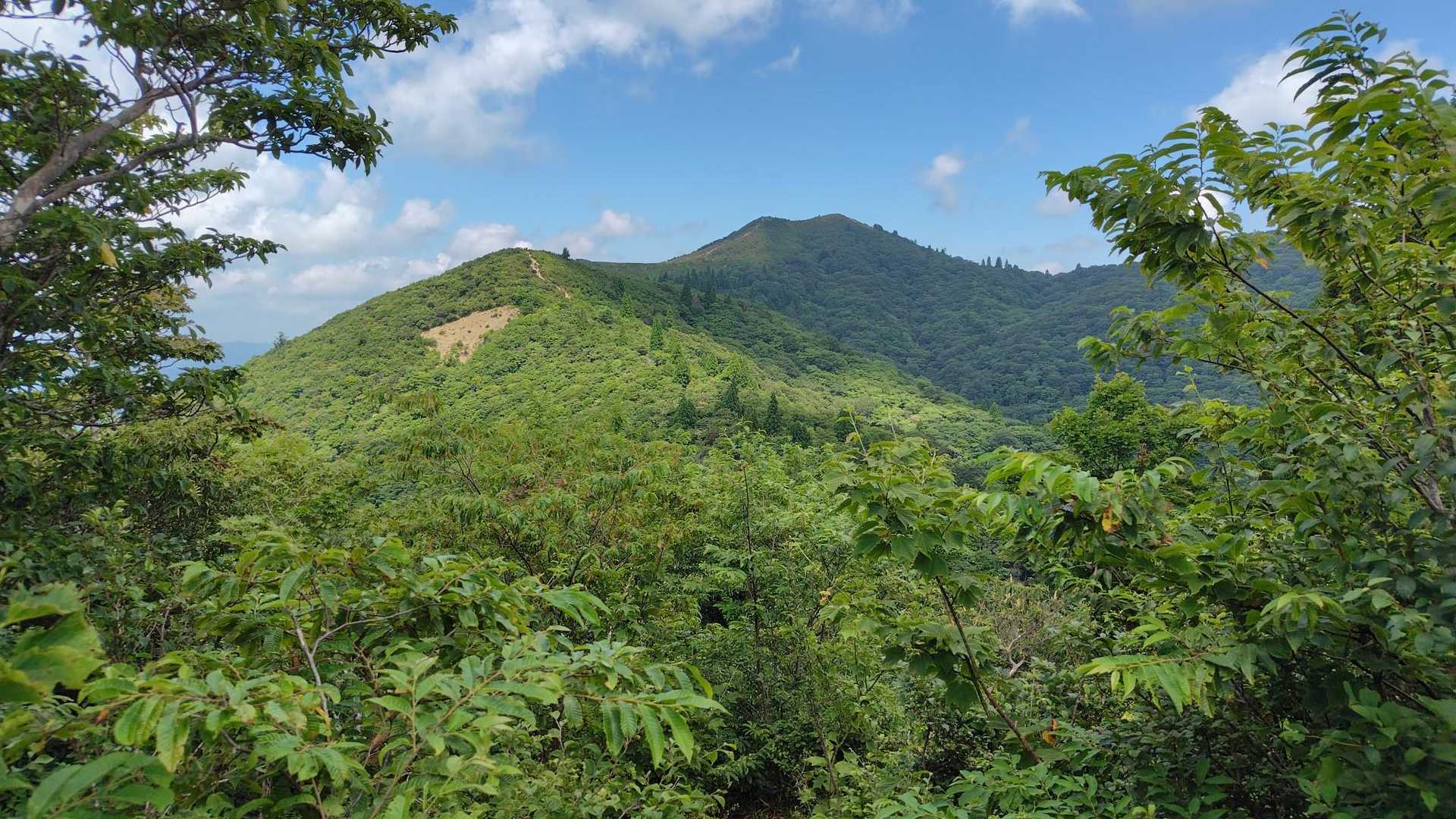 2時間ちょっと登ってやっとこさ武奈ヶ岳山頂をロックオン！