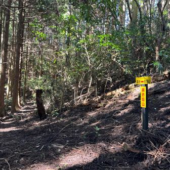 奥赤坂山⛰️777.7m
山頂は右上を登るがここでもピークがとれる。