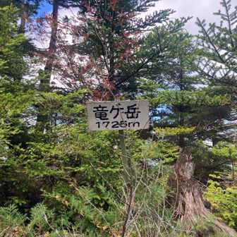山名板はひっそりと佇んでました