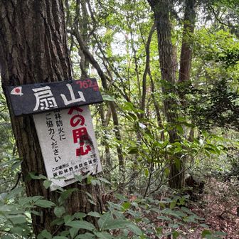 わざわざ、そのニ