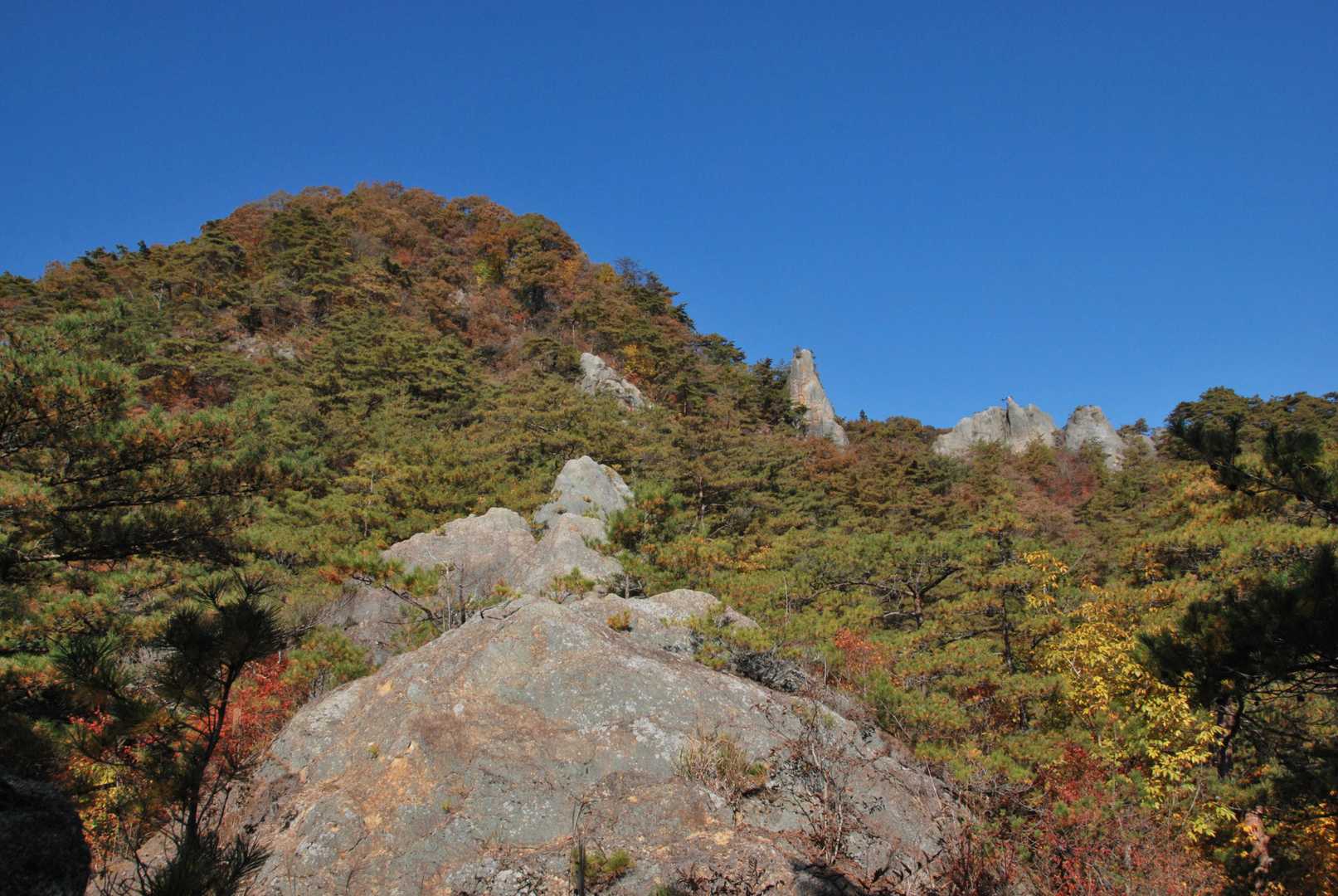 矢祭山 周回コースの写真