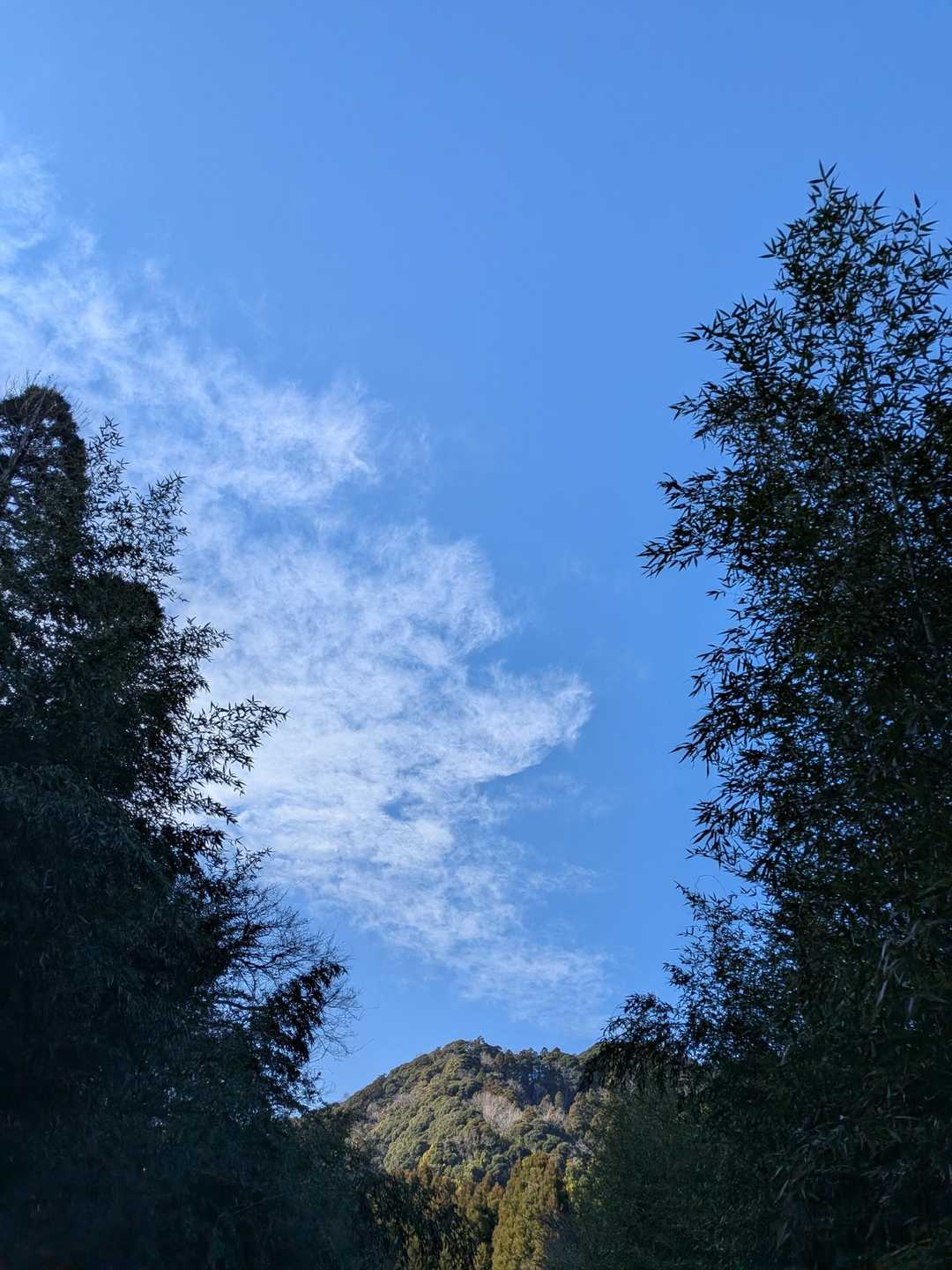 青空ー✨✨✨