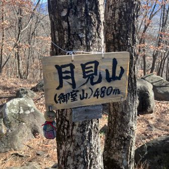 良い名前の山です⛰️