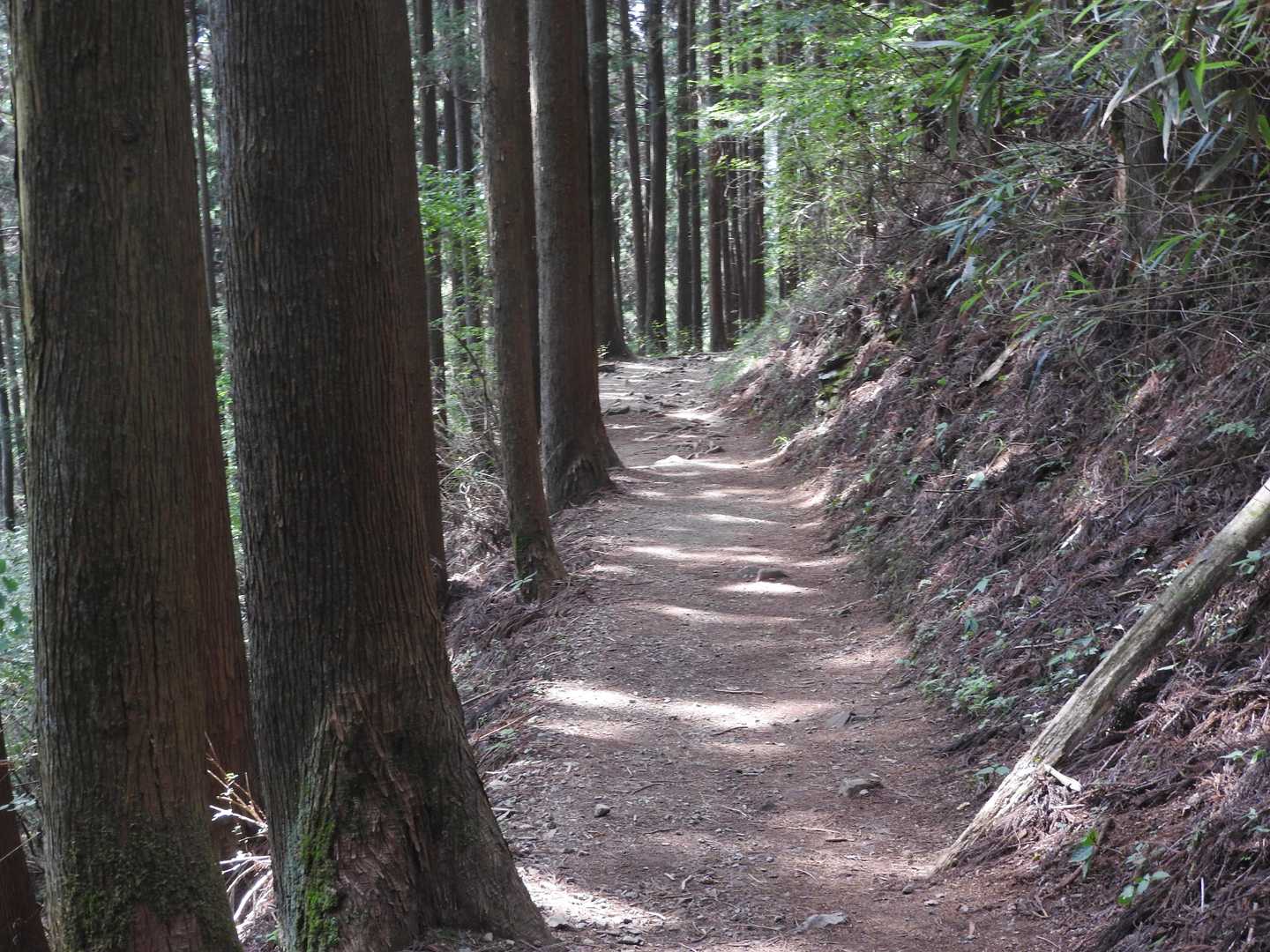 そうじゃないと、お風呂とそばランチに寄ろうというミッションその2があるので、時間つぶさねば