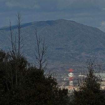 猿投山をズーム