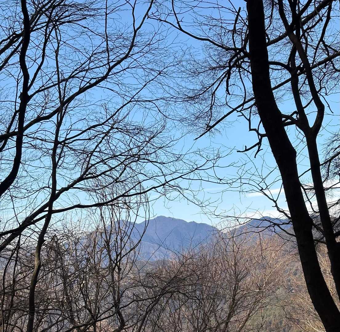 三頭山