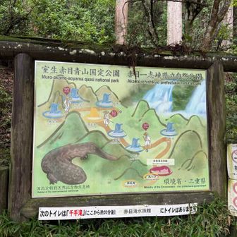 “あの頃”のまんまの看板でした