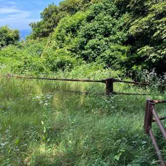出発した登山口とは別の登山口に向けて降ります