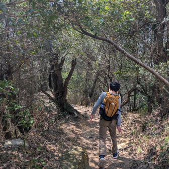 やっぱり山道がいいな