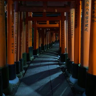 夜の鳥居は幻想的です