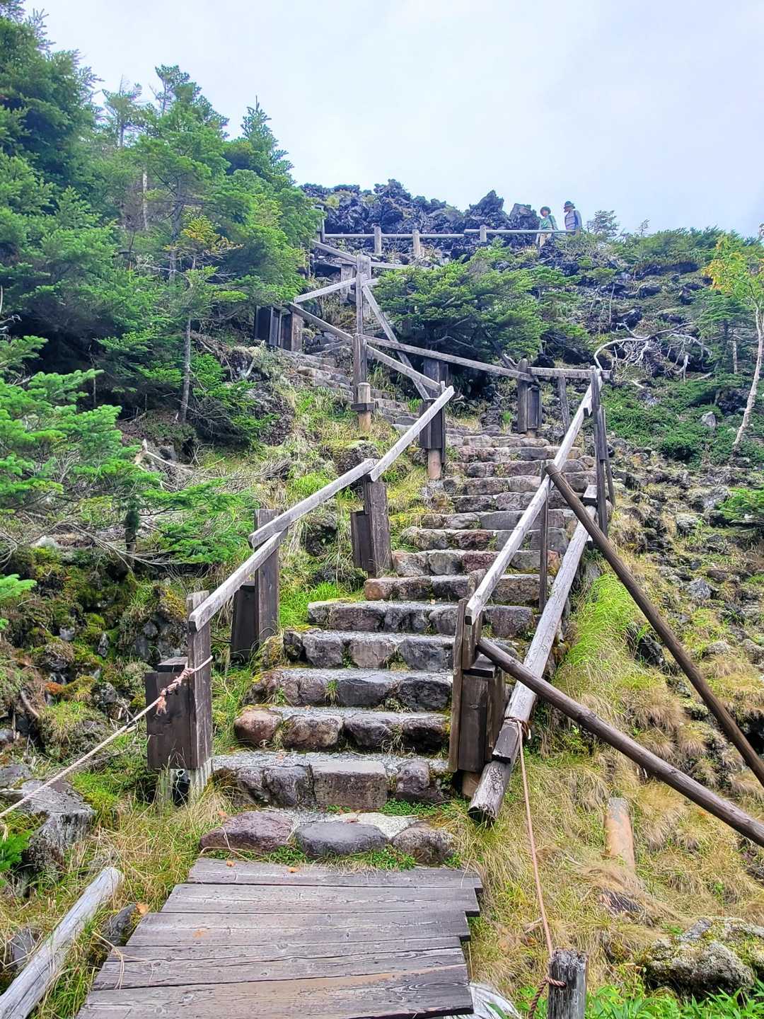 麦草峠-大石峠-中小場-茶臼山-縞枯山-雨池峠-山頂駅 周回コースの写真