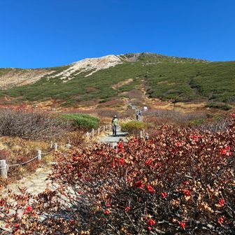 御前ヶ峰を目指します。