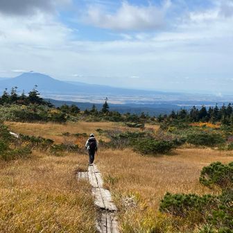 毛無岱に入る。黄金の草紅葉。遠くは岩木山。